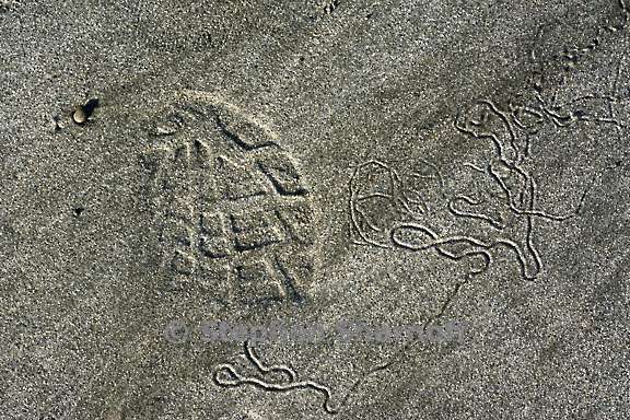 tracks 3734 1 graphic